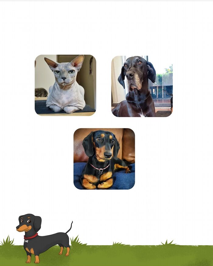 I Wrote A Children’s Book About My Dog Named Vinkie I Wrote A Children’s Book About My Dog Named Vinkie