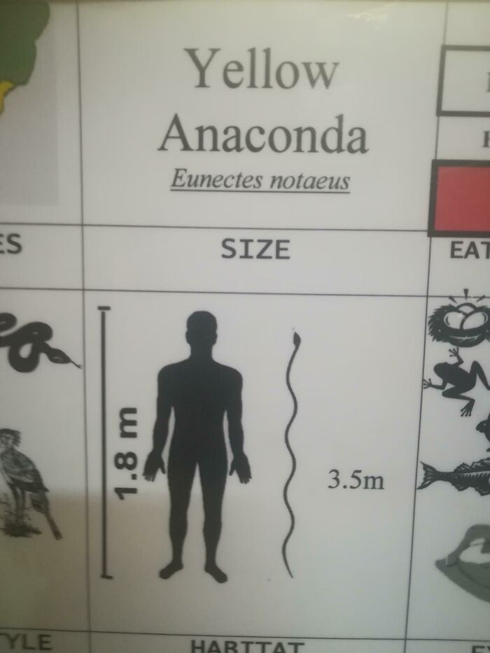 88 Funny Graphic Design Fails Reminding Us That No, Not Anyone Can Do It 88 Funny Graphic Design Fails Reminding Us That No, Not Anyone Can Do It