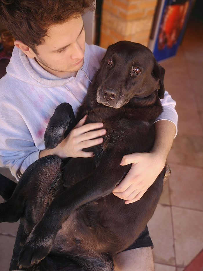 50 Times Pets Hilariously Showed How Jealous They Are 50 Times Pets Hilariously Showed How Jealous They Are