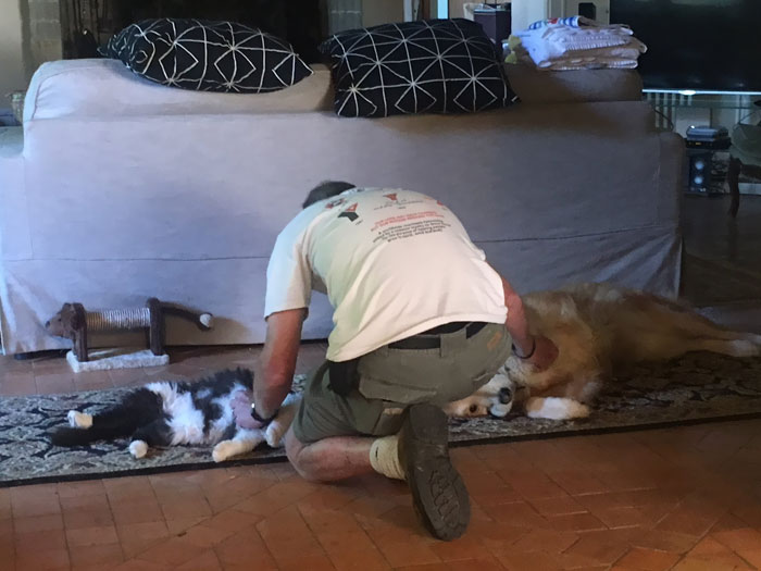 50 Times Pets Hilariously Showed How Jealous They Are 50 Times Pets Hilariously Showed How Jealous They Are