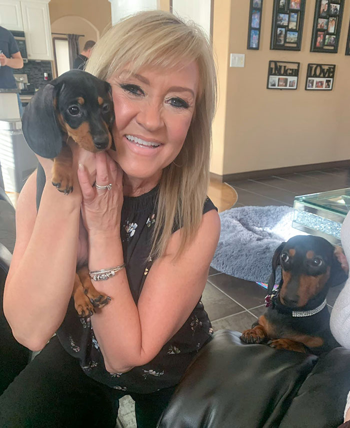 50 Times Pets Hilariously Showed How Jealous They Are 50 Times Pets Hilariously Showed How Jealous They Are