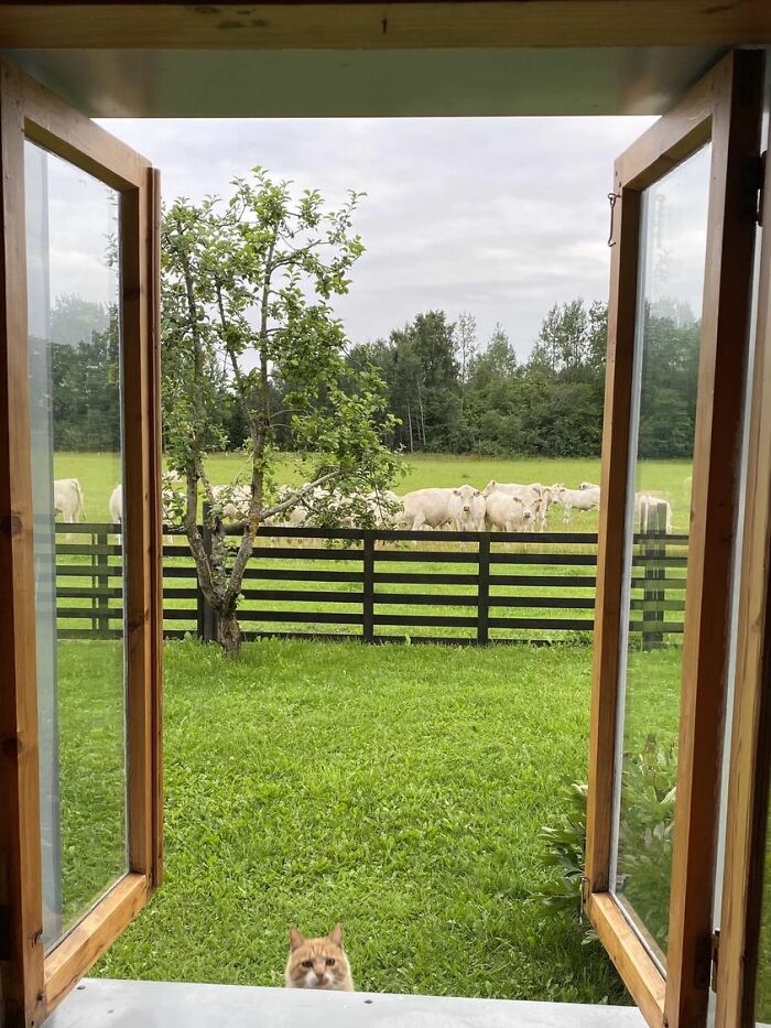 “View From Your Window”: People From Around The World Snap What They See Through Their Window “View From Your Window”: People From Around The World Snap What They See Through Their Window