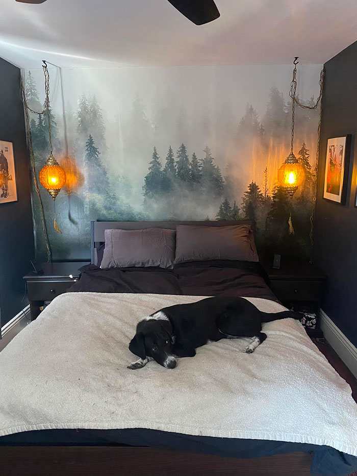 30 Examples Of Maximalist Design Done Right, As Shared On This Facebook Group 30 Examples Of Maximalist Design Done Right, As Shared On This Facebook Group