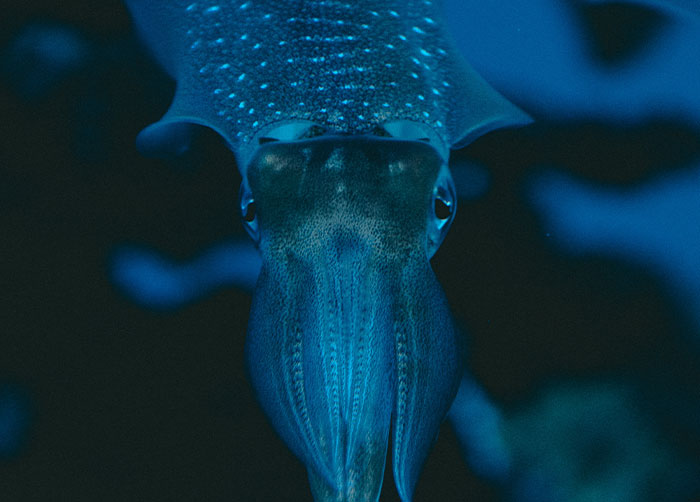 People Are Sharing Facts That Sound Fake But Are Totally True, Here Are 30 Of The Most Baffling Ones People Are Sharing Facts That Sound Fake But Are Totally True, Here Are 30 Of The Most Baffling Ones