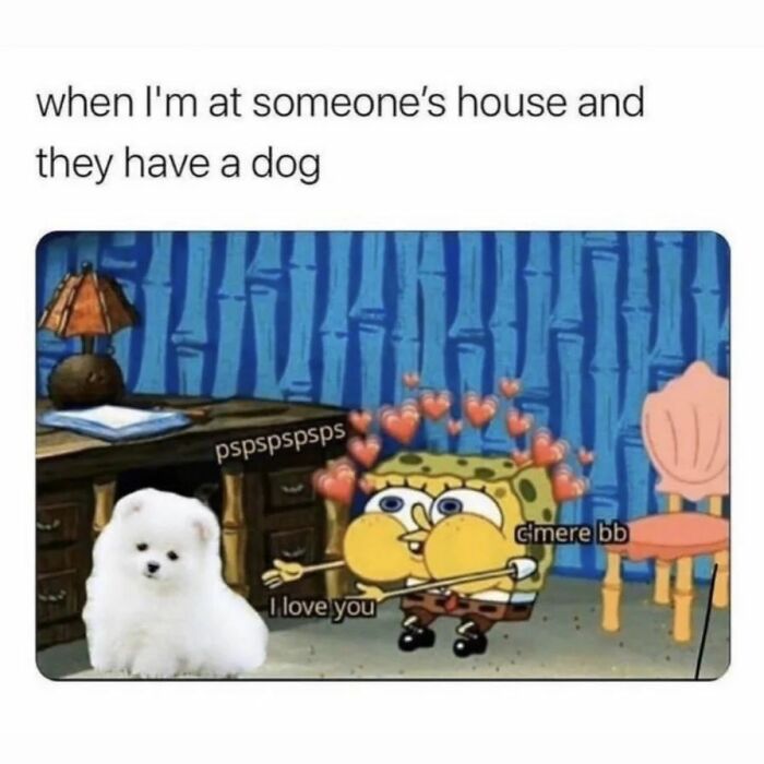 This Instagram Page Shares Spot-On Memes Reflecting The Struggles Of Womanhood And Here Are 50 Of The Funniest Ones This Instagram Page Shares Spot-On Memes Reflecting The Struggles Of Womanhood And Here Are 50 Of The Funniest Ones