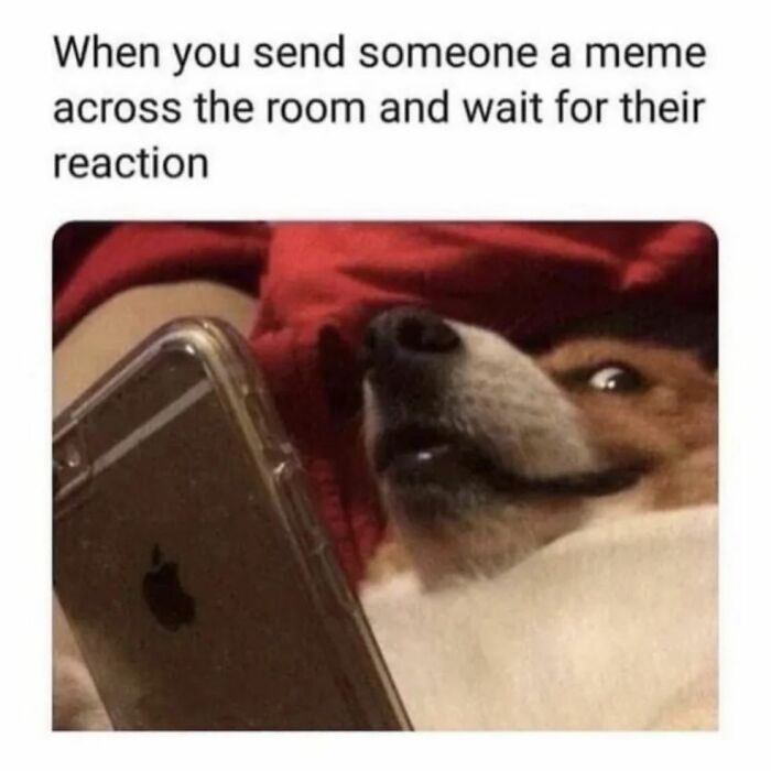 This Instagram Page Shares Spot-On Memes Reflecting The Struggles Of Womanhood And Here Are 50 Of The Funniest Ones This Instagram Page Shares Spot-On Memes Reflecting The Struggles Of Womanhood And Here Are 50 Of The Funniest Ones