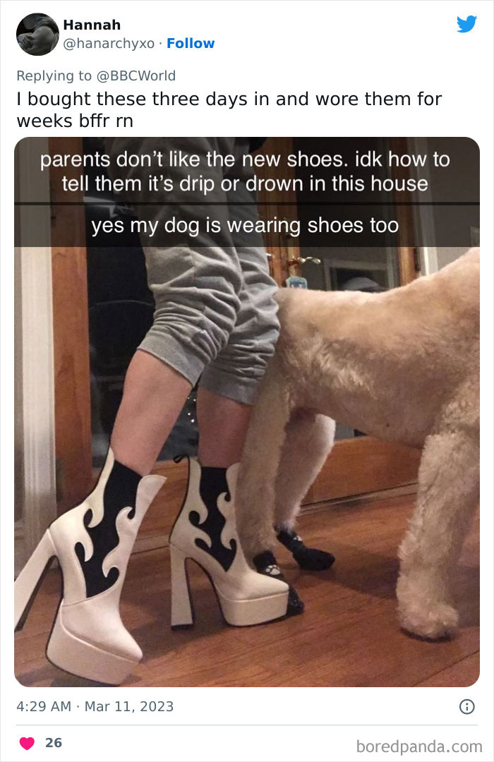 Study Claims The Mental-Health Crisis During The Pandemic Was Minimal, People Share The Most Unhinged Things They Did In Response (50 Tweets) Study Claims The Mental-Health Crisis During The Pandemic Was Minimal, People Share The Most Unhinged Things They Did In Response (50 Tweets)