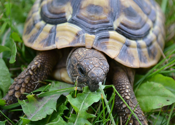 40 People Share Their Scariest Or Most Uncomfortable Experiences At Someone Else’s House