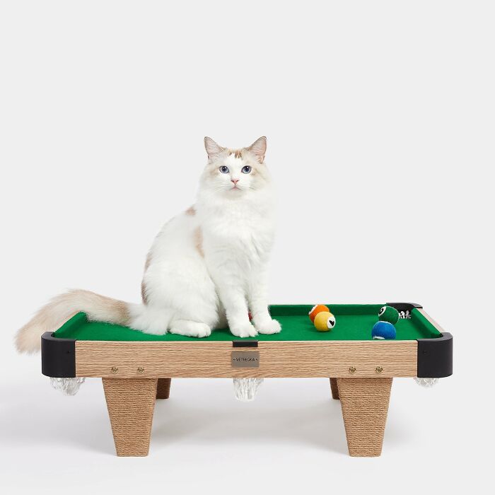 Interactive Mini Billiards For Cats: Perfect To Keep Your Pet Occupied Interactive Mini Billiards For Cats: Perfect To Keep Your Pet Occupied