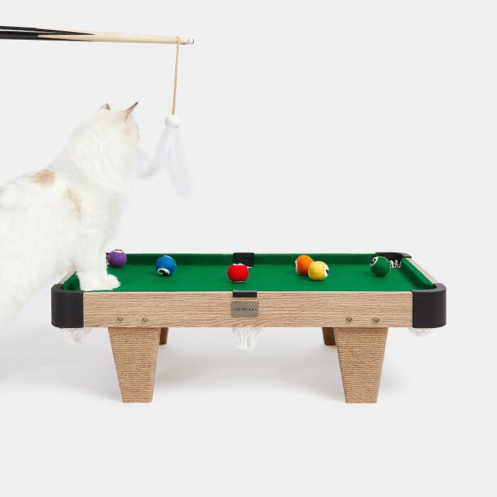 Interactive Mini Billiards For Cats: Perfect To Keep Your Pet Occupied Interactive Mini Billiards For Cats: Perfect To Keep Your Pet Occupied