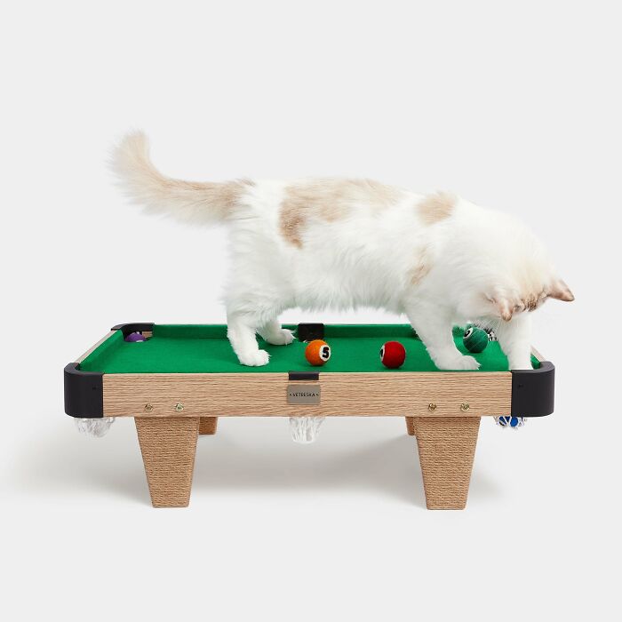Interactive Mini Billiards For Cats: Perfect To Keep Your Pet Occupied Interactive Mini Billiards For Cats: Perfect To Keep Your Pet Occupied