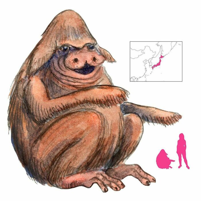 “The Ultimate Resource To Creatures Of Myths And Legends”: This Page Is Sharing How Mythical Creatures Actually Look, And They’re Both Fascinating And Spine-Chilling “The Ultimate Resource To Creatures Of Myths And Legends”: This Page Is Sharing How Mythical Creatures Actually Look, And They’re Both Fascinating And Spine-Chilling