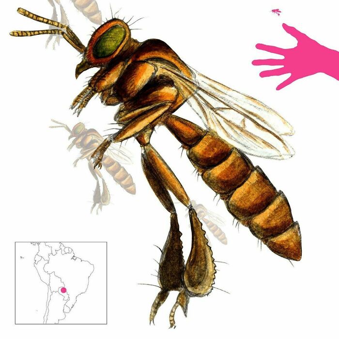 “The Ultimate Resource To Creatures Of Myths And Legends”: This Page Is Sharing How Mythical Creatures Actually Look, And They’re Both Fascinating And Spine-Chilling “The Ultimate Resource To Creatures Of Myths And Legends”: This Page Is Sharing How Mythical Creatures Actually Look, And They’re Both Fascinating And Spine-Chilling