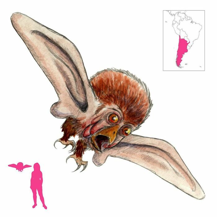 “The Ultimate Resource To Creatures Of Myths And Legends”: This Page Is Sharing How Mythical Creatures Actually Look, And They’re Both Fascinating And Spine-Chilling “The Ultimate Resource To Creatures Of Myths And Legends”: This Page Is Sharing How Mythical Creatures Actually Look, And They’re Both Fascinating And Spine-Chilling