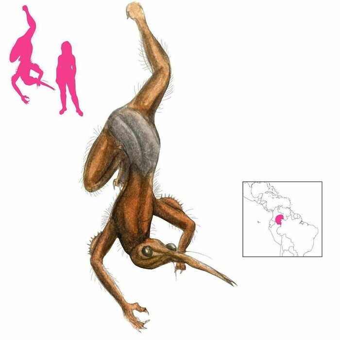 “The Ultimate Resource To Creatures Of Myths And Legends”: This Page Is Sharing How Mythical Creatures Actually Look, And They’re Both Fascinating And Spine-Chilling “The Ultimate Resource To Creatures Of Myths And Legends”: This Page Is Sharing How Mythical Creatures Actually Look, And They’re Both Fascinating And Spine-Chilling