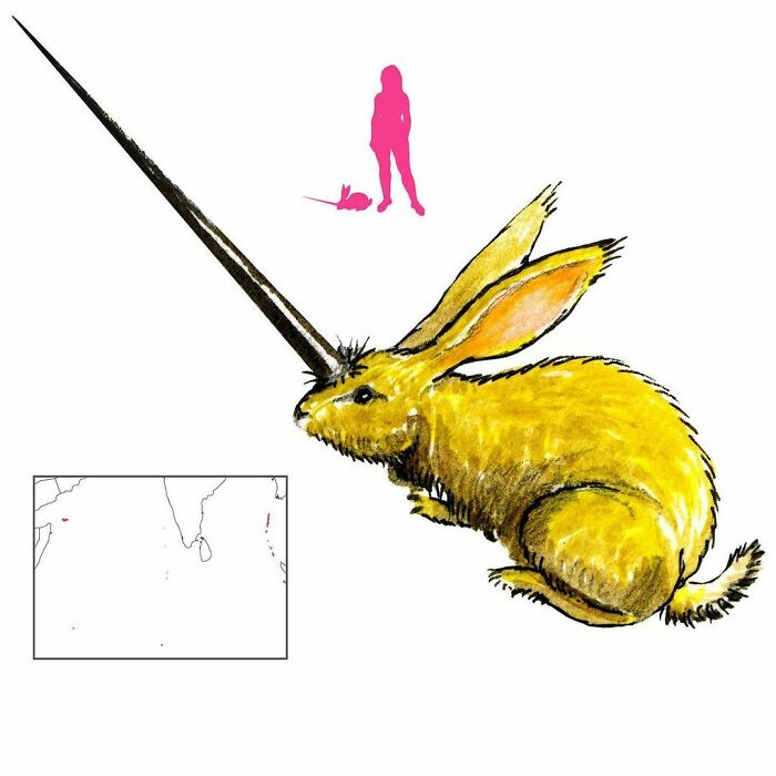 “The Ultimate Resource To Creatures Of Myths And Legends”: This Page Is Sharing How Mythical Creatures Actually Look, And They’re Both Fascinating And Spine-Chilling “The Ultimate Resource To Creatures Of Myths And Legends”: This Page Is Sharing How Mythical Creatures Actually Look, And They’re Both Fascinating And Spine-Chilling