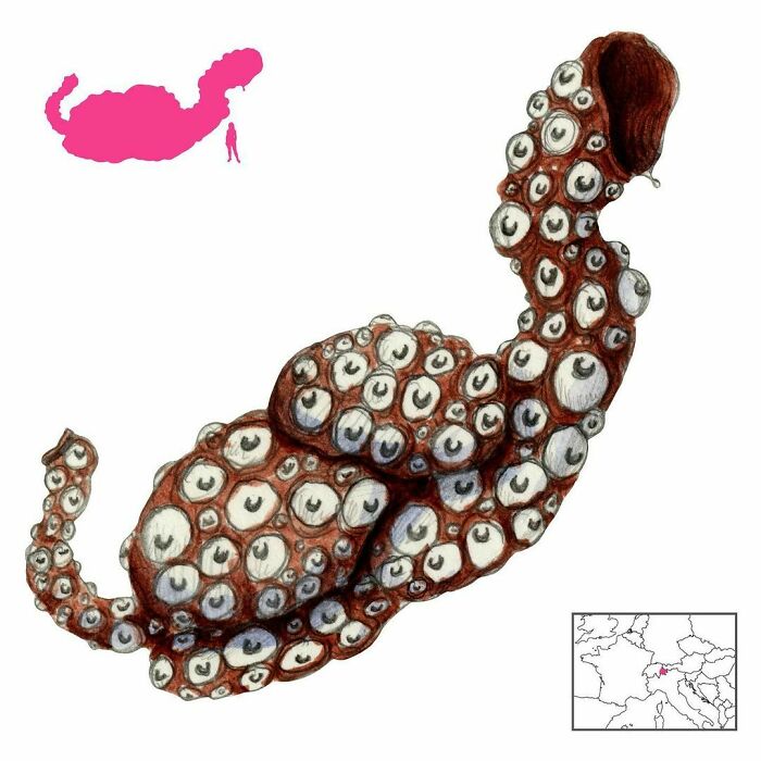 “The Ultimate Resource To Creatures Of Myths And Legends”: This Page Is Sharing How Mythical Creatures Actually Look, And They’re Both Fascinating And Spine-Chilling “The Ultimate Resource To Creatures Of Myths And Legends”: This Page Is Sharing How Mythical Creatures Actually Look, And They’re Both Fascinating And Spine-Chilling