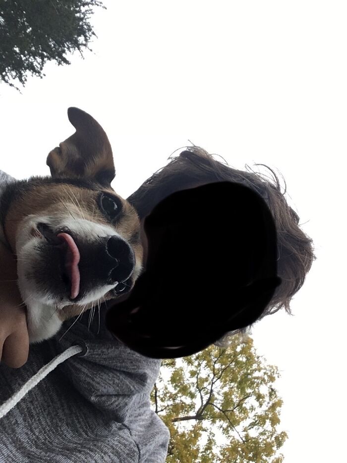 Hey Pandas, Show Your Pets With Their Tongues Out (Closed) Hey Pandas, Show Your Pets With Their Tongues Out (Closed)