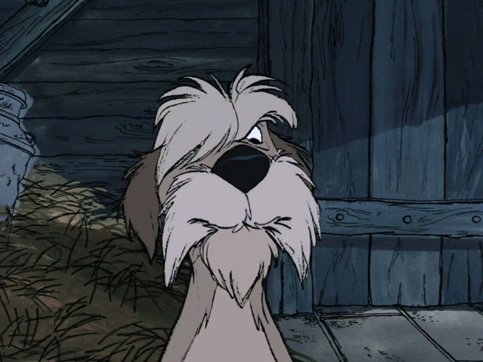 55 Famous Cartoon Dogs Who Deserve A Cuteness Oscar 55 Famous Cartoon Dogs Who Deserve A Cuteness Oscar