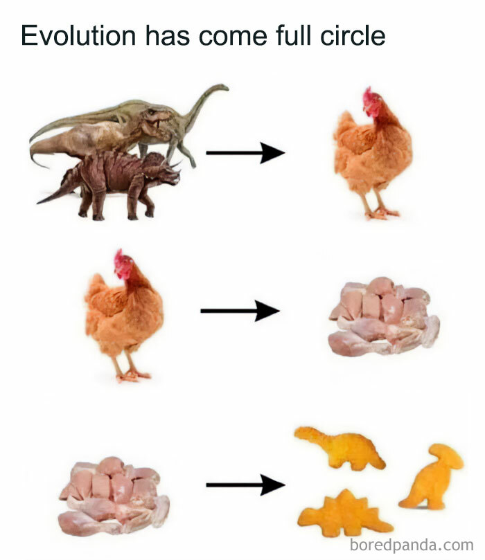 People Are Making Fun Of Evolution Of Pretty Much Everything With 40 Hilarious Memes People Are Making Fun Of Evolution Of Pretty Much Everything With 40 Hilarious Memes