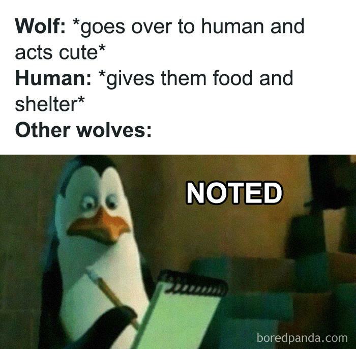 People Are Making Fun Of Evolution Of Pretty Much Everything With 40 Hilarious Memes People Are Making Fun Of Evolution Of Pretty Much Everything With 40 Hilarious Memes