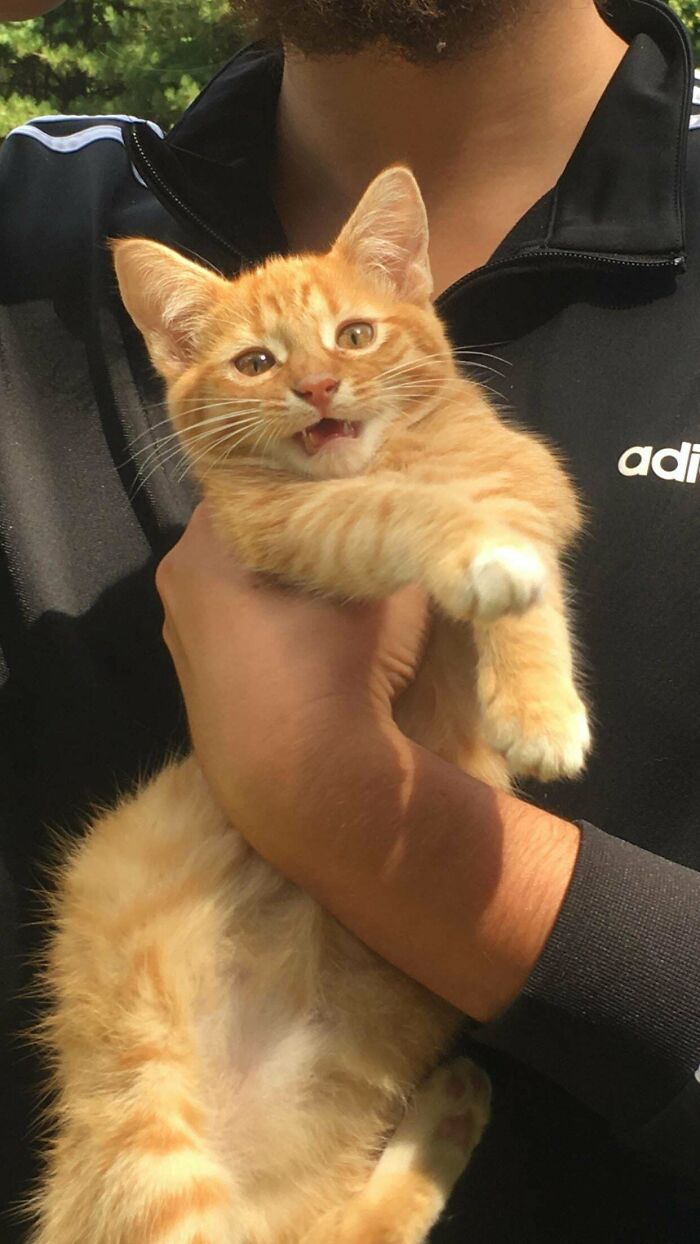 50 Heartwarming Pics Of Pets That Found Their New Home (March Edition) 50 Heartwarming Pics Of Pets That Found Their New Home (March Edition)