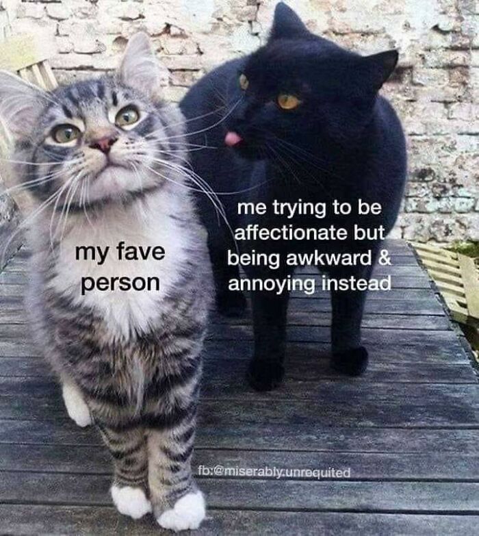 “My Friends Are Alarmed By The Content I Share”: 50 Funny And Relatable Memes Shared By This Facebook Page