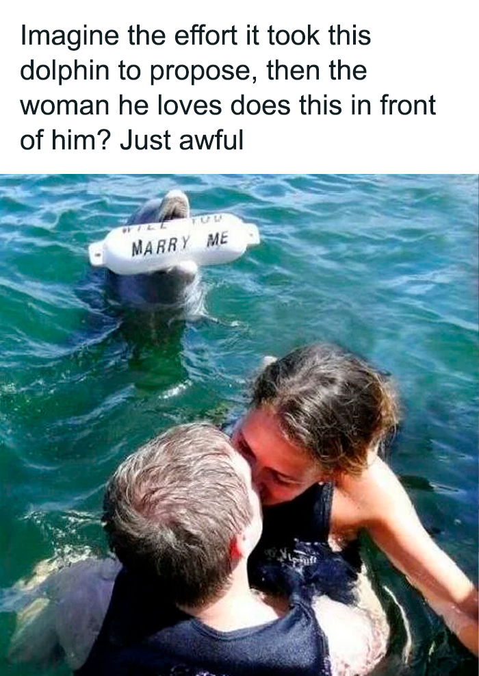 75 Randomly Funny Memes That Make Life Feel Just A Little Lighter (New Pics)