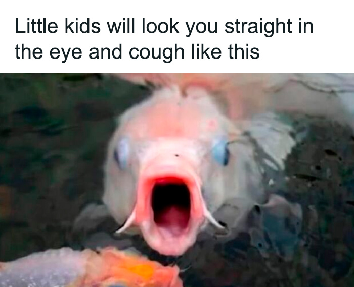 75 Randomly Funny Memes That Make Life Feel Just A Little Lighter (New Pics)