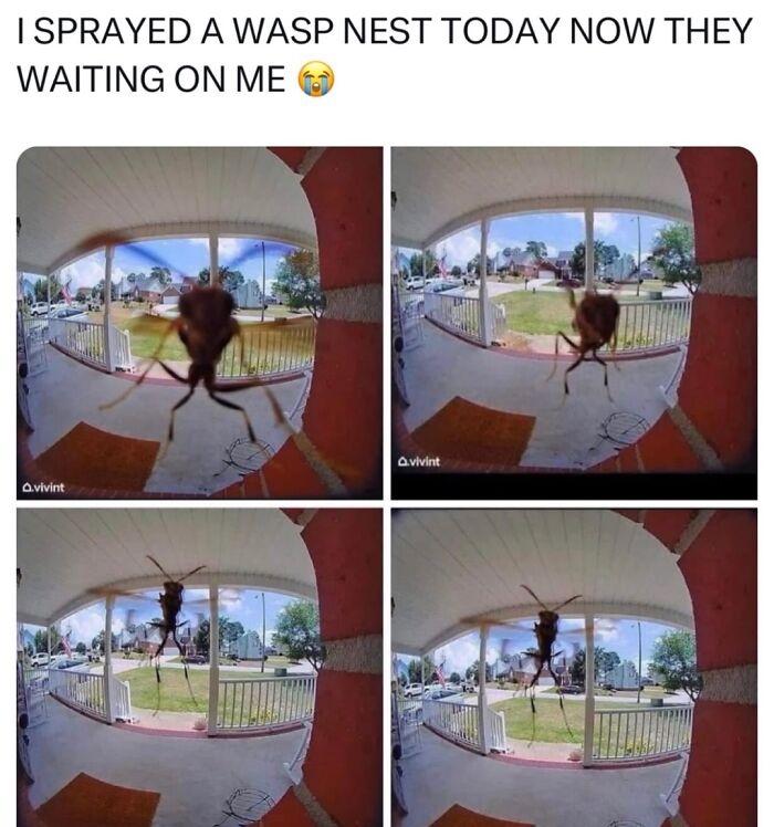 75 Randomly Funny Memes That Make Life Feel Just A Little Lighter (New Pics)