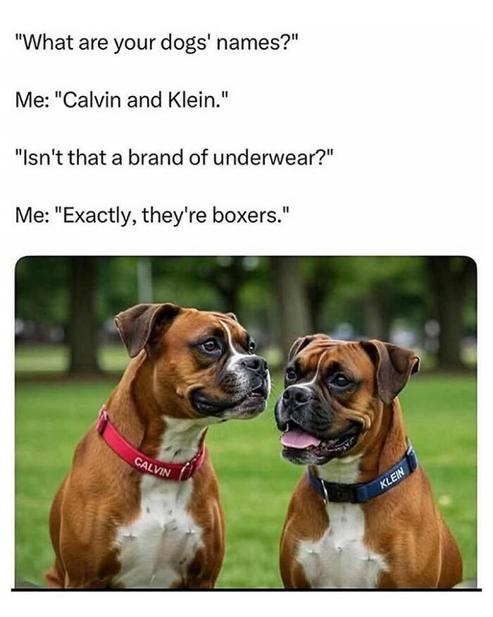 75 Randomly Funny Memes That Make Life Feel Just A Little Lighter (New Pics)