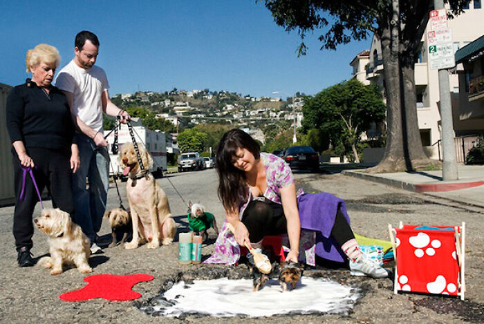 The Art Of Potholes: These Artists Turned &#8216;Urban Blemishes&#8217; Into Creative Photo Opportunities (20 Pics)