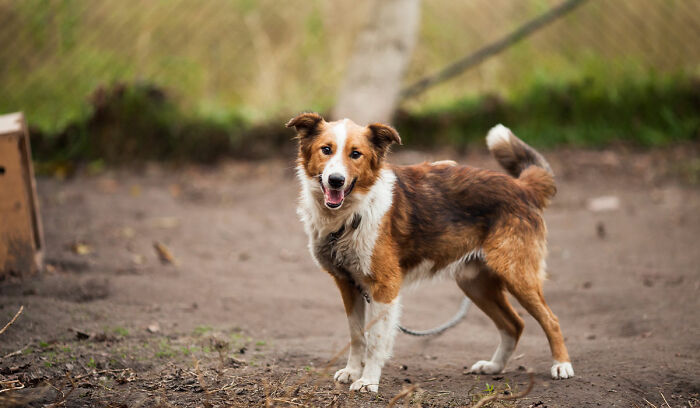 67 Cheap Date Ideas To Help Make Regular Date Nights A Commitment 67 Cheap Date Ideas To Help Make Regular Date Nights A Commitment