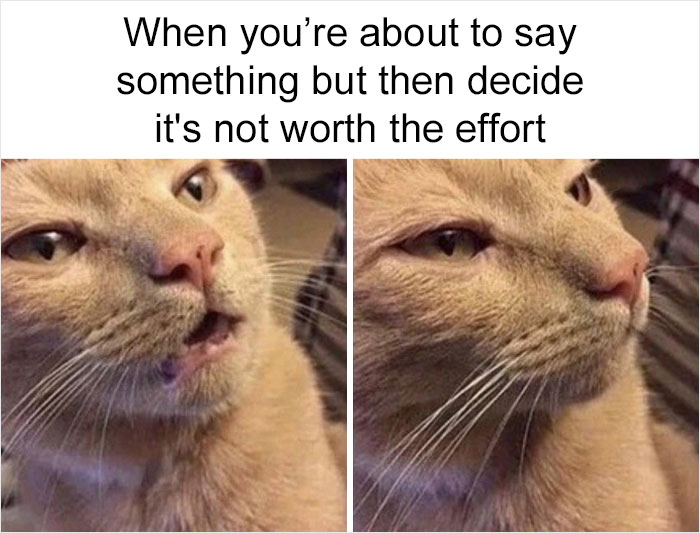 50 Memes That May Hit Too Close To Home For Any Introverts Out There, As Shared By This Instagram Account 50 Memes That May Hit Too Close To Home For Any Introverts Out There, As Shared By This Instagram Account