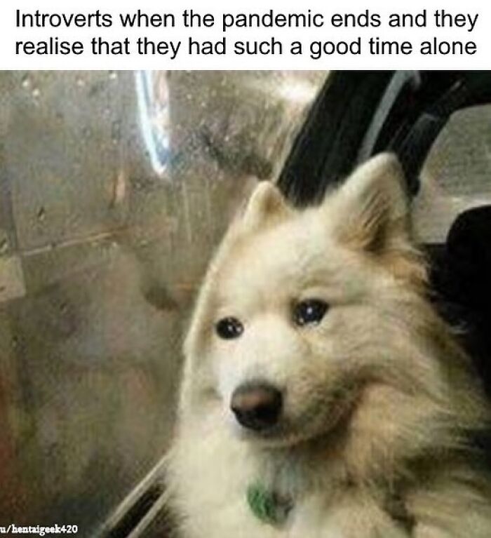 50 Memes That May Hit Too Close To Home For Any Introverts Out There, As Shared By This Instagram Account 50 Memes That May Hit Too Close To Home For Any Introverts Out There, As Shared By This Instagram Account