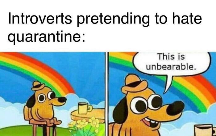 50 Memes That May Hit Too Close To Home For Any Introverts Out There, As Shared By This Instagram Account 50 Memes That May Hit Too Close To Home For Any Introverts Out There, As Shared By This Instagram Account