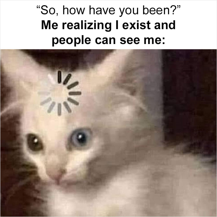 50 Memes That May Hit Too Close To Home For Any Introverts Out There, As Shared By This Instagram Account 50 Memes That May Hit Too Close To Home For Any Introverts Out There, As Shared By This Instagram Account