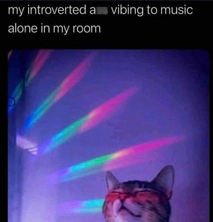 50 Memes That May Hit Too Close To Home For Any Introverts Out There, As Shared By This Instagram Account 50 Memes That May Hit Too Close To Home For Any Introverts Out There, As Shared By This Instagram Account