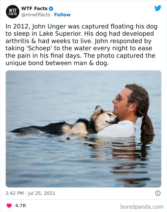 50 Random Facts That Sound Strange But Are True, As Shared By This Twitter Account (New Pics) 50 Random Facts That Sound Strange But Are True, As Shared By This Twitter Account (New Pics)