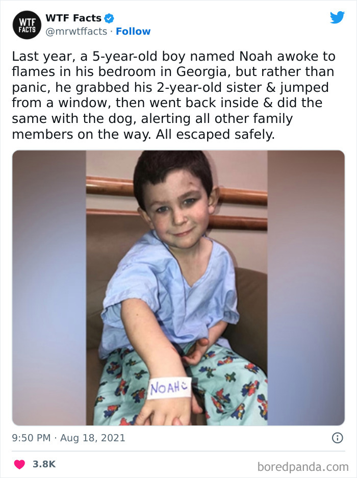 50 Random Facts That Sound Strange But Are True, As Shared By This Twitter Account (New Pics) 50 Random Facts That Sound Strange But Are True, As Shared By This Twitter Account (New Pics)