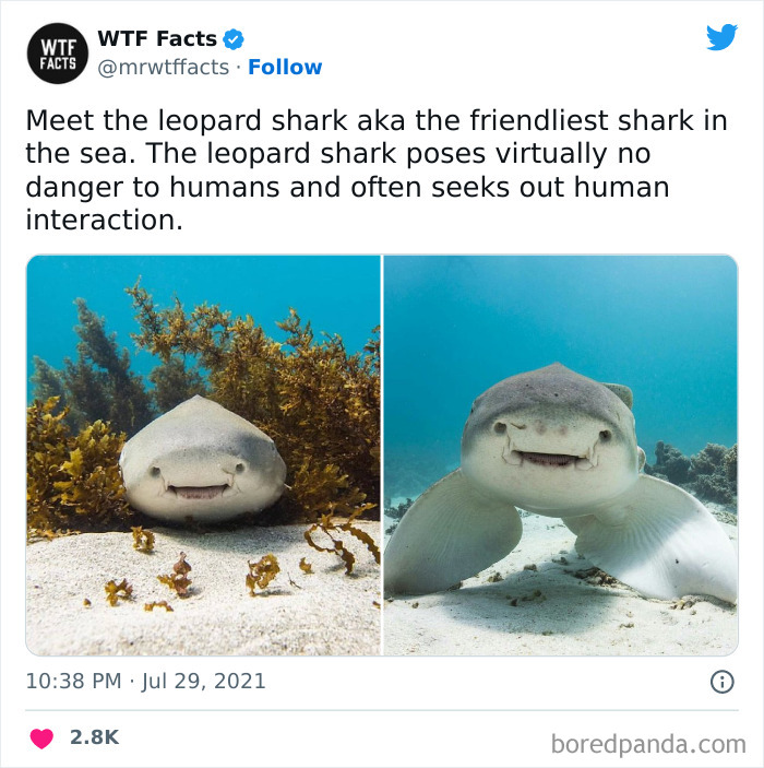 50 Random Facts That Sound Strange But Are True, As Shared By This Twitter Account (New Pics) 50 Random Facts That Sound Strange But Are True, As Shared By This Twitter Account (New Pics)