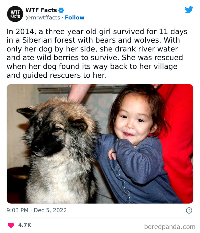 50 Random Facts That Sound Strange But Are True, As Shared By This Twitter Account (New Pics) 50 Random Facts That Sound Strange But Are True, As Shared By This Twitter Account (New Pics)