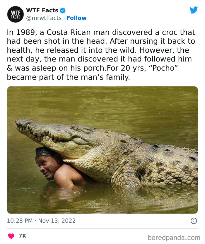 50 Random Facts That Sound Strange But Are True, As Shared By This Twitter Account (New Pics) 50 Random Facts That Sound Strange But Are True, As Shared By This Twitter Account (New Pics)
