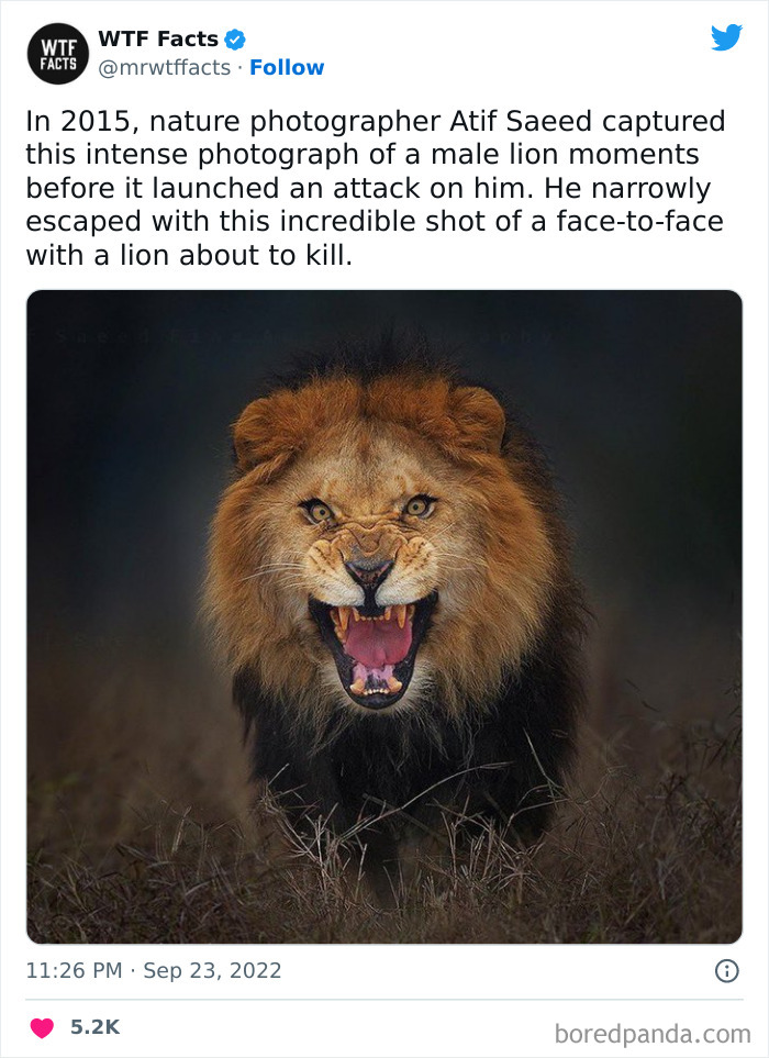 50 Random Facts That Sound Strange But Are True, As Shared By This Twitter Account (New Pics) 50 Random Facts That Sound Strange But Are True, As Shared By This Twitter Account (New Pics)