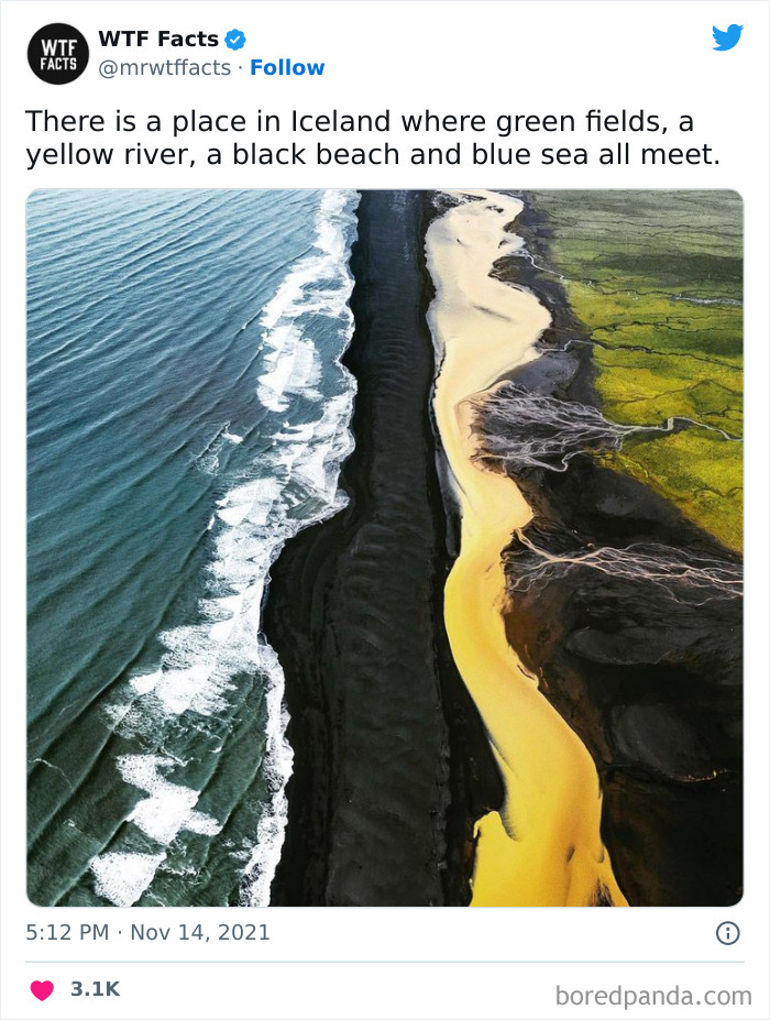 50 Random Facts That Sound Strange But Are True, As Shared By This Twitter Account (New Pics) 50 Random Facts That Sound Strange But Are True, As Shared By This Twitter Account (New Pics)