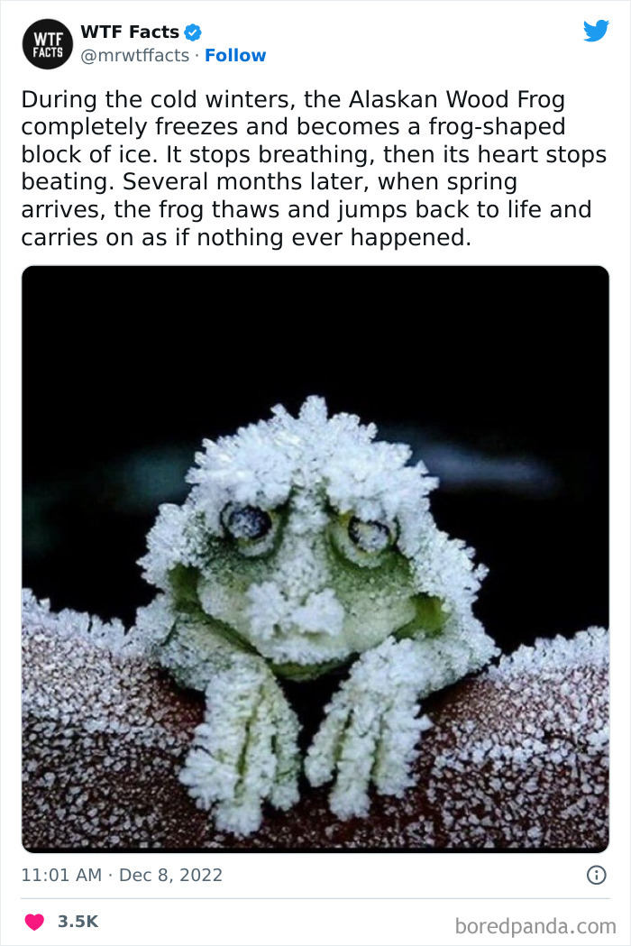 50 Random Facts That Sound Strange But Are True, As Shared By This Twitter Account (New Pics) 50 Random Facts That Sound Strange But Are True, As Shared By This Twitter Account (New Pics)