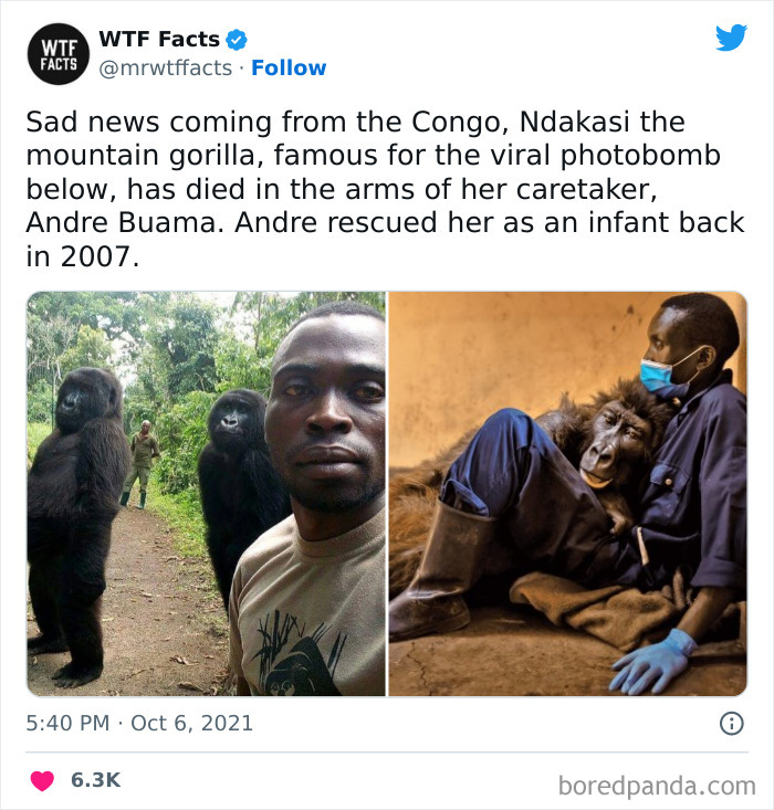 50 Random Facts That Sound Strange But Are True, As Shared By This Twitter Account (New Pics) 50 Random Facts That Sound Strange But Are True, As Shared By This Twitter Account (New Pics)