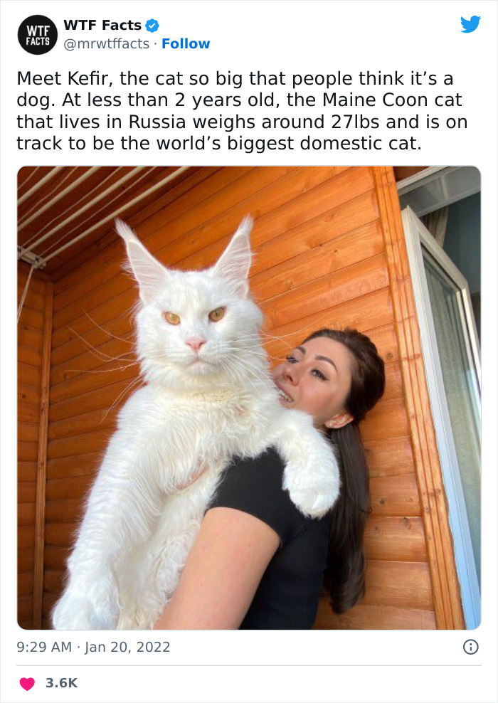 50 Random Facts That Sound Strange But Are True, As Shared By This Twitter Account (New Pics) 50 Random Facts That Sound Strange But Are True, As Shared By This Twitter Account (New Pics)