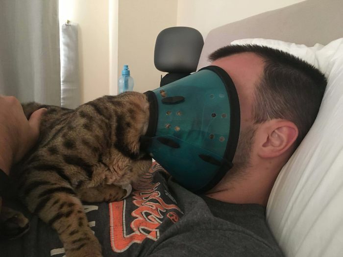 45 Times Cats Confused Their Humans So Much, They Got Posted On The “What’s Wrong With Your Cat” Online Group (New Pics) 45 Times Cats Confused Their Humans So Much, They Got Posted On The “What’s Wrong With Your Cat” Online Group (New Pics)