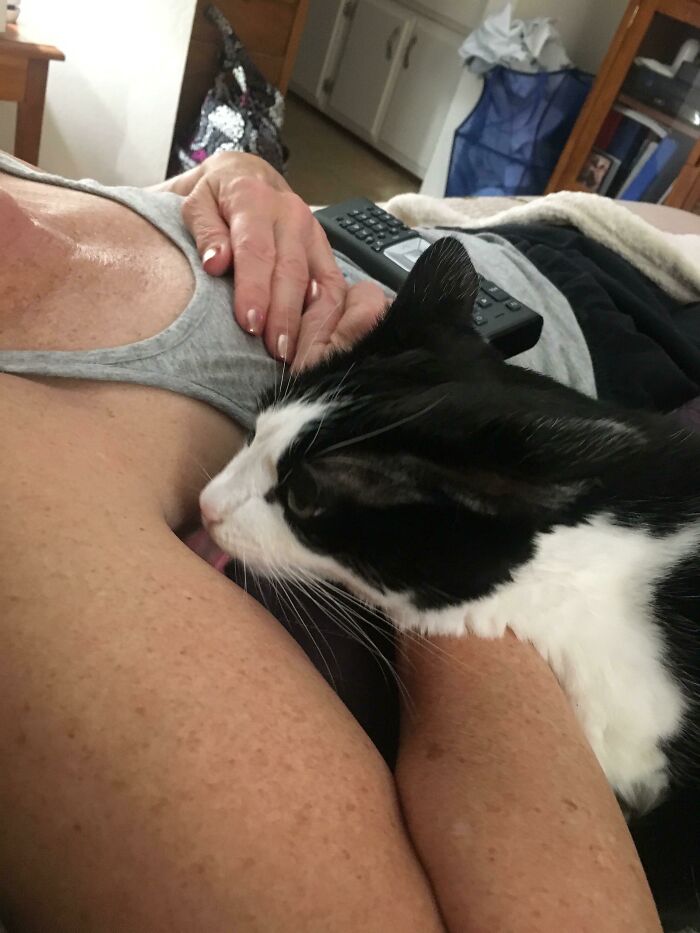 45 Times Cats Confused Their Humans So Much, They Got Posted On The “What’s Wrong With Your Cat” Online Group (New Pics) 45 Times Cats Confused Their Humans So Much, They Got Posted On The “What’s Wrong With Your Cat” Online Group (New Pics)